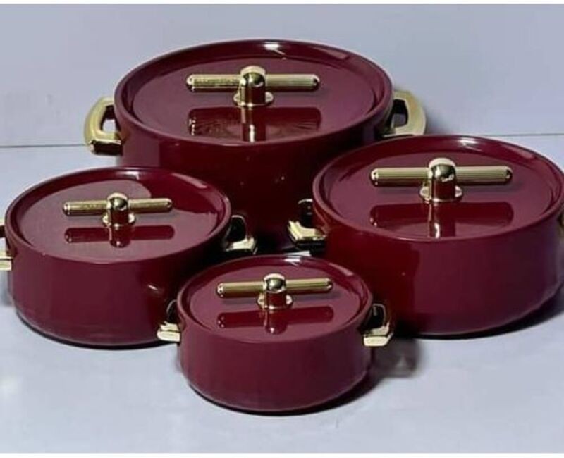 LUXURY INSULATED DINNER PLATES 4 SETS