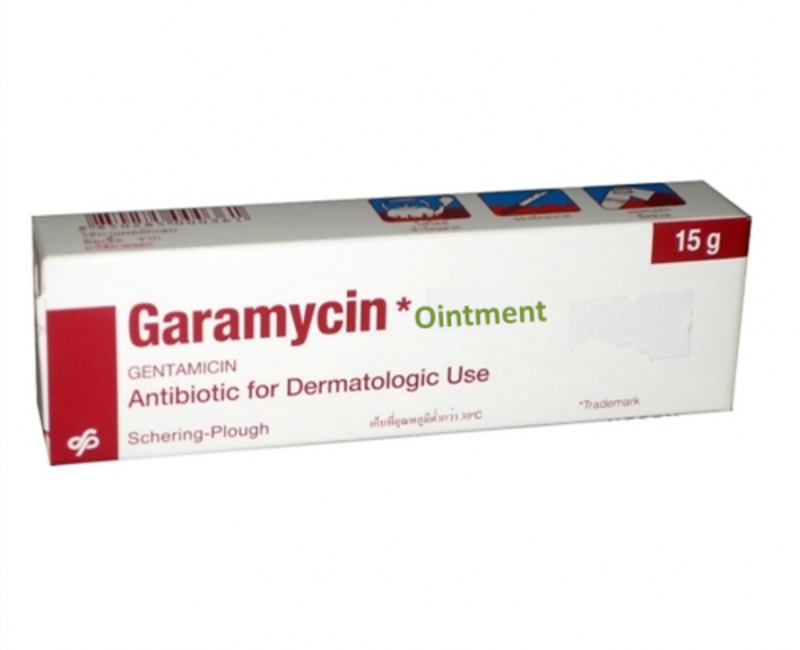 GENTAMYCIN SKIN OINTMENT