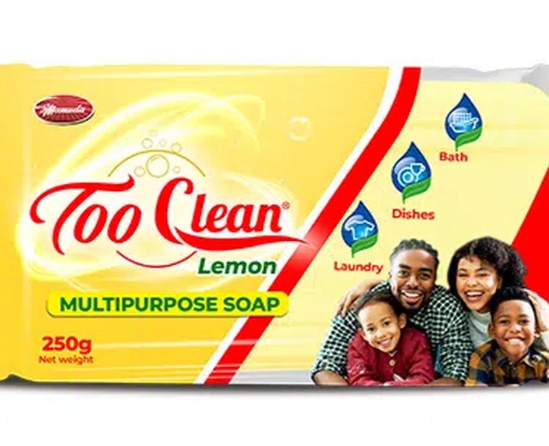 Too Clean multipurpose Lemon 250gx 24