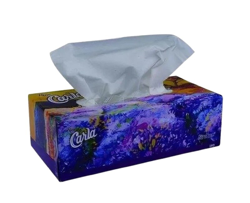 Rose Carla Facial Box Sheet 1X24 X100